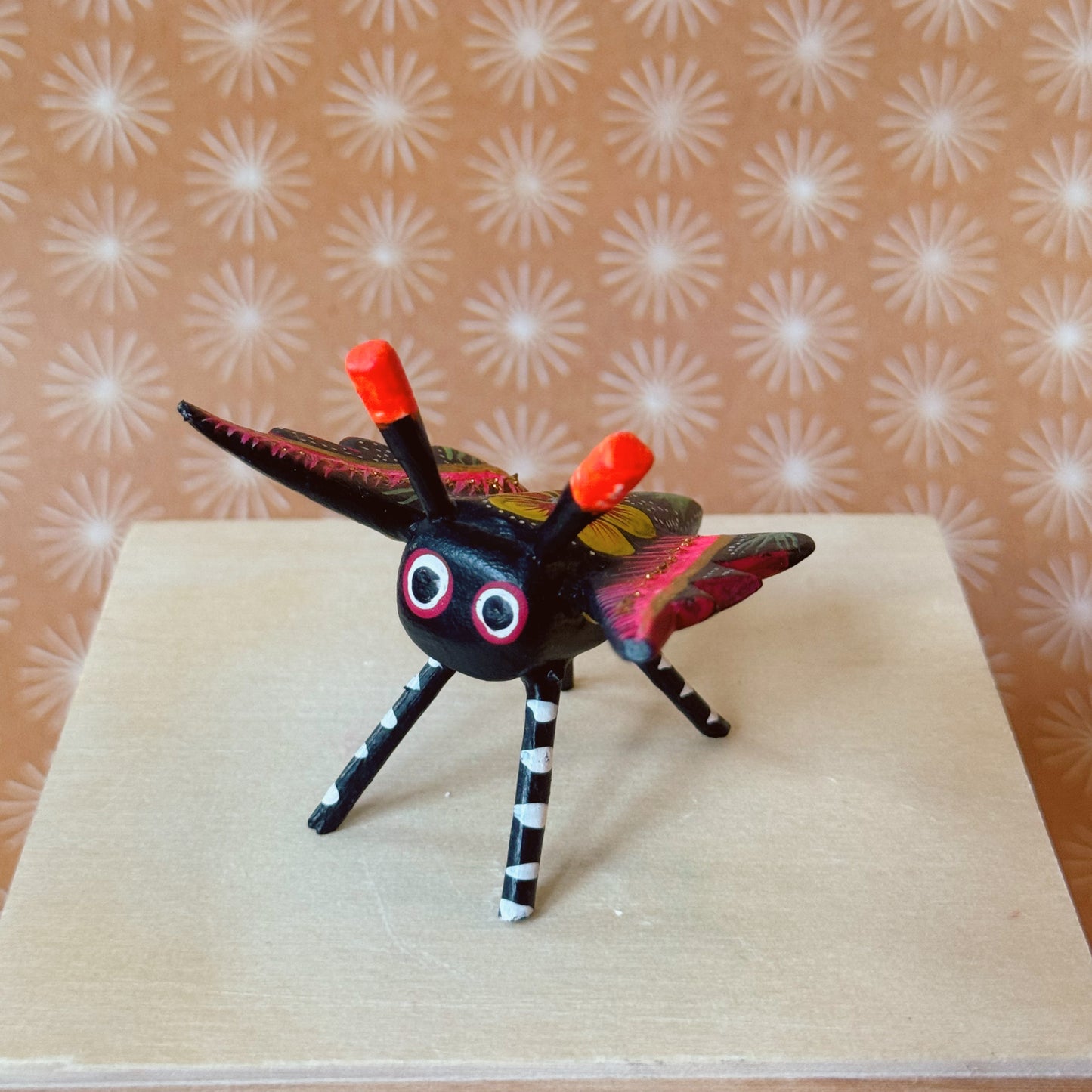 INSECTS