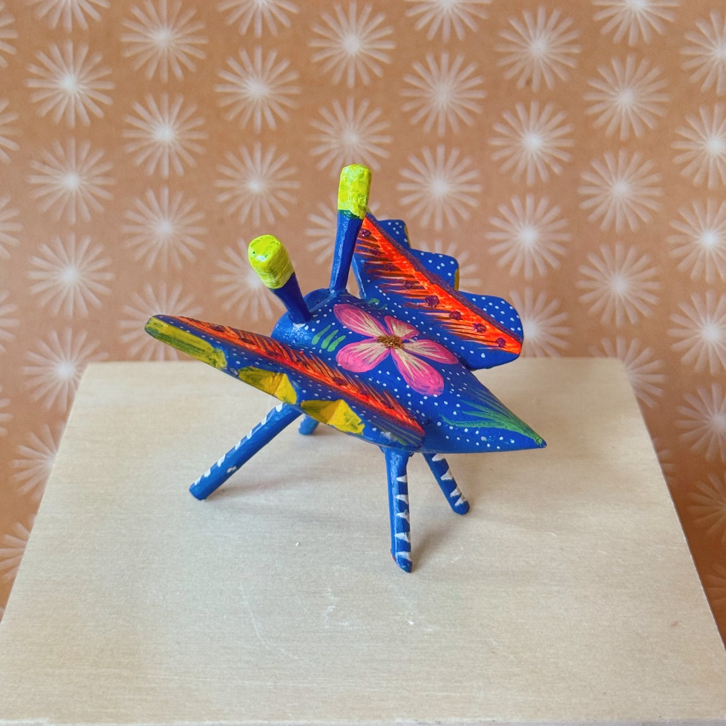 INSECTS